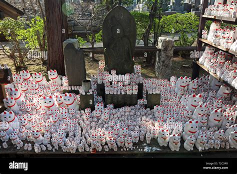 Maneki Neko Waving Cat Statues At The Gotokuji Temple In The Setagaya