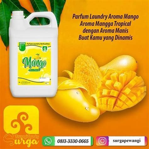 Aroma Parfum Laundry Kiloan Wangi Buah Mangga Segar Dan Aroma Buah