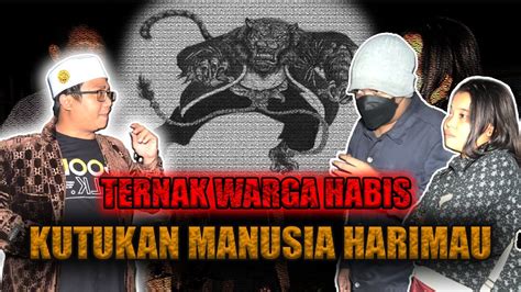 Gemparwarga Dihebohkan Munculnya Siluman Harimau Gus Idris Turun