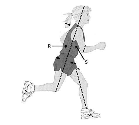 Bsc L Quiz Body Orientation Diagram Quizlet