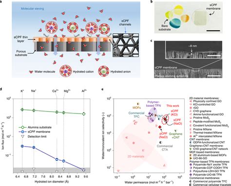 Selective Water And Ion Transport A Schematic Of An Scpf Membrane For