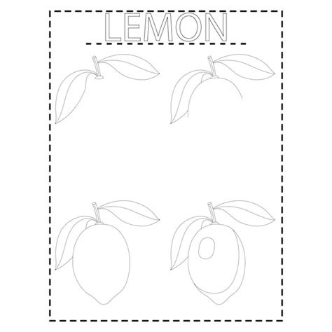 C Mo Dibujar Frutas Paso A Paso Dibujos Para Colorear Vector Premium