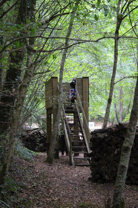 Parc Aventure De Fontdouce Laser Game Saint Bris Des Bois Guide