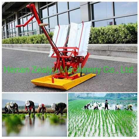 2 Row Paddy Field Use Paddy Planter Rice Transplanter Farm Machinery