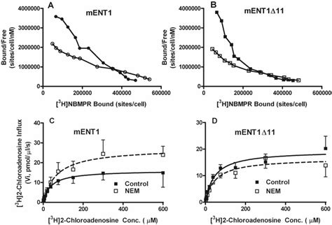 Effect Of NEM On 3 H NBMPR Binding Top And 3 H 2 Chloroadenosine