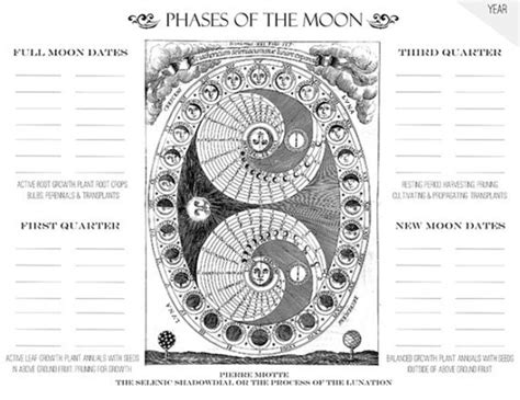 Moon Phase Gardening Chart Printable Garden Planner Page for Garden ...