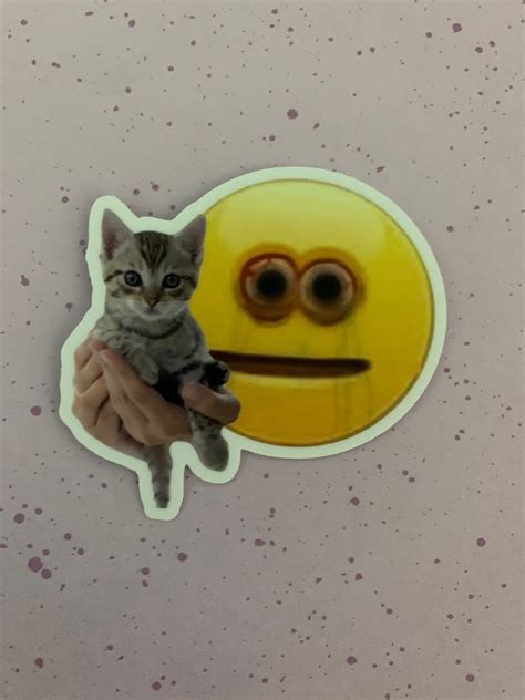 Cursed Emoji Holding Cat Sticker Etsy