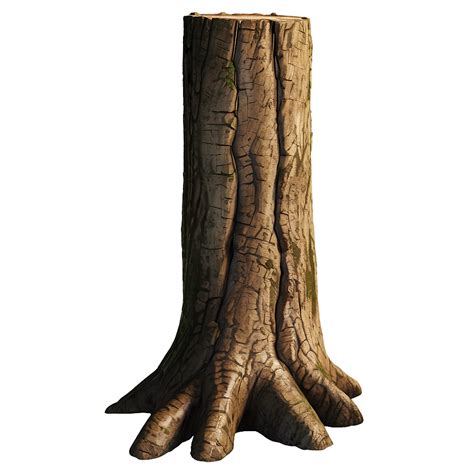 Download Tree Trunk Closeup Png 05242024