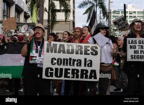 San Juan Estados Unidos 18 De Diciembre De 2023 Manifestantes