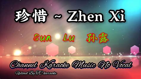 Zhen Xi By Sun Lu Male Karaoke Mandarin No Vocal Youtube