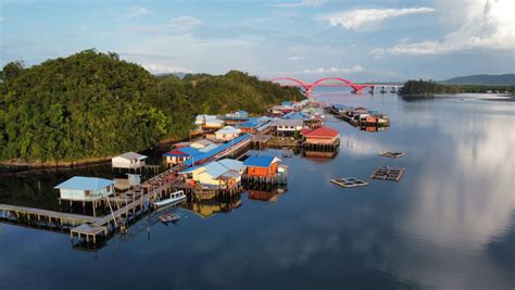 Kampung Tobati Desa Wisata Di Jayapura Dengan Keunikan Hutan Perempuan