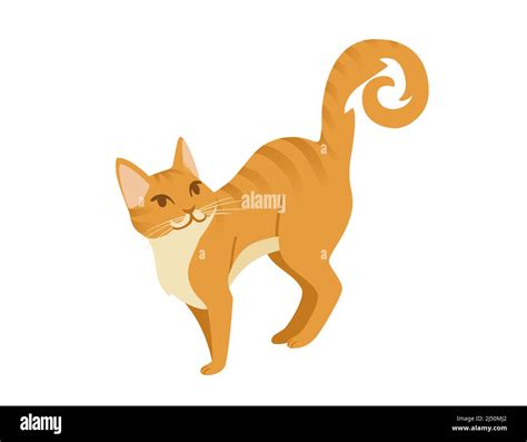 Ginger cat cartoon standing on the ground cartoon animal design vector ...