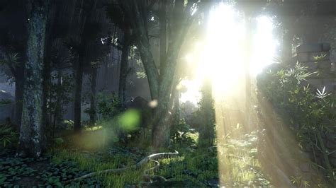 Sunlight Forest Video Games Nature Green Morning Mist