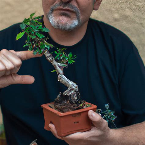 Aprenda A Cultivar Um Bonsai De Figueira Estilo Manual De