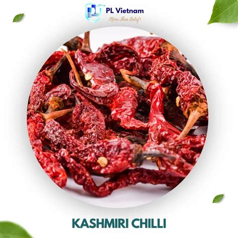 Vietnam Expo | Kashmiri Chilli