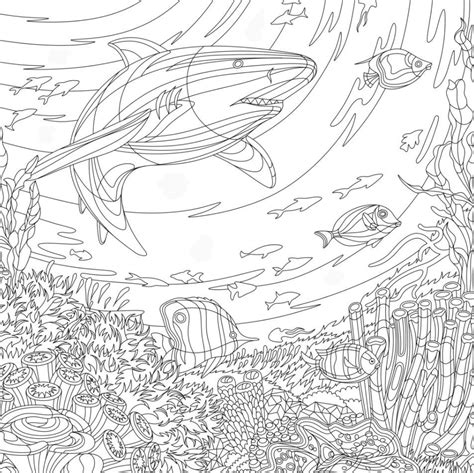 Adult Coloring Pages Dolphins Whale Art Art Background Whales