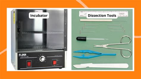 Best Biology Lab Equipment for Schools and Students