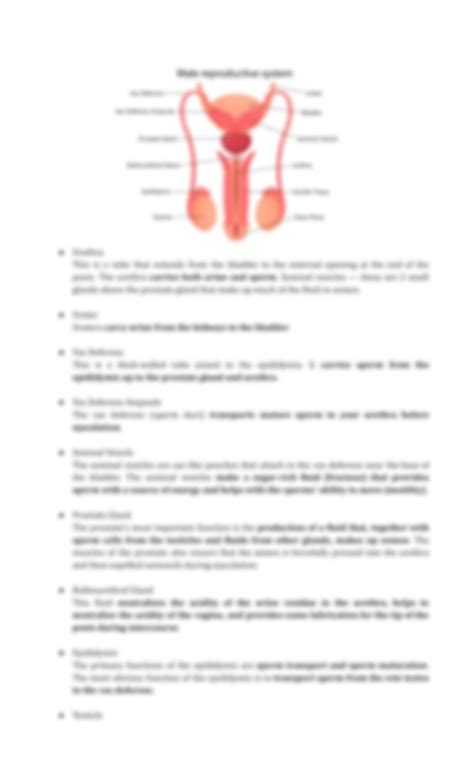 Solution Male And Female Reproductive System Lecture Notes For Grade