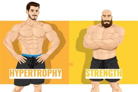 Strength Vs Hypertrophy What Are The Main Differences Raw Active