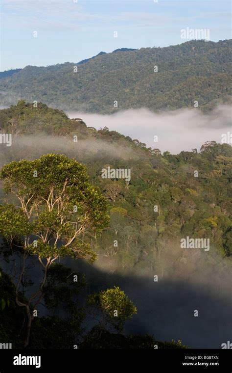 Kayan Mentarang National Park Borneo Hi Res Stock Photography And