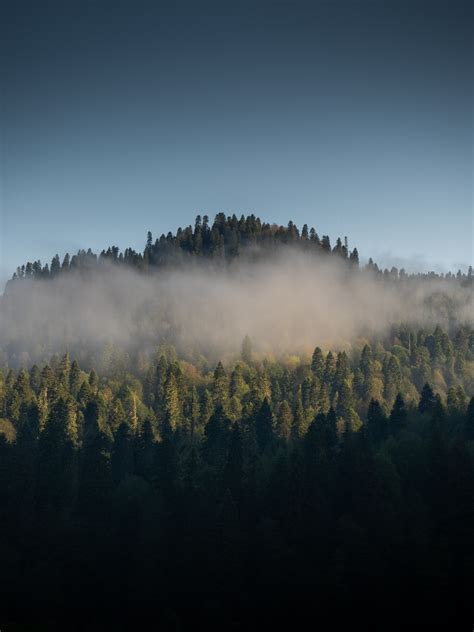 Bildet Naturlig Himmel Atmosf Re Koregion Anlegg Sky