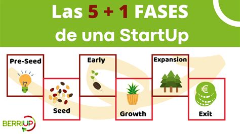 Fases De Una Startup