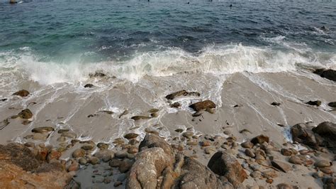 Ocean Tide Receding Free Stock Photo - Public Domain Pictures