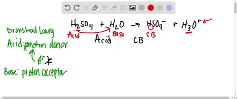 Solveddescribe And Name Acids And Bases Identify Bronsted Lowry Acids