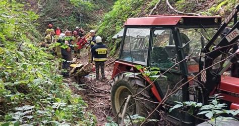 Tragedia podczas wycinki drzew na Lubelszczyźnie Nie żyje 55 latek