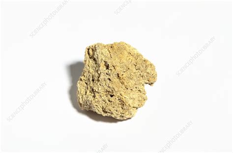 Calcareous tufa - Stock Image - C028/5347 - Science Photo Library