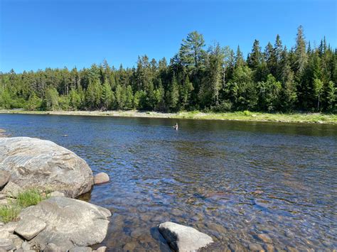 Allagash - Fishing Reports - Maine Fly Fish