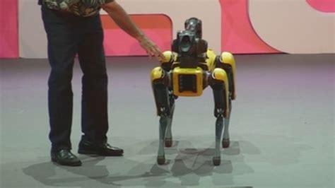 Los robots más avanzados del mundo en la IROS 2018 Vídeo Dailymotion