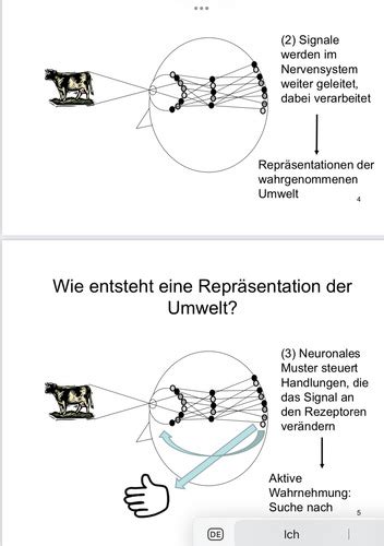 Wahrnehmung I Flashcards Quizlet