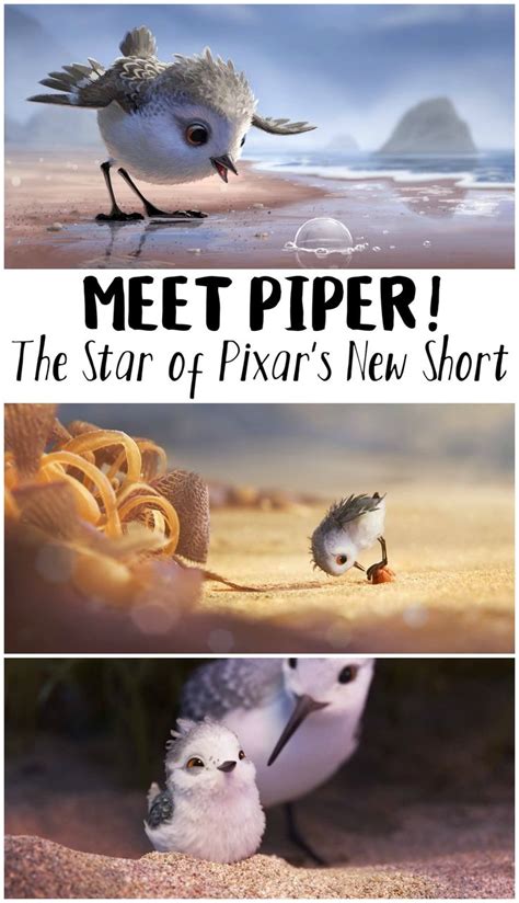 Sneak Peek: Pixar's Animated Short "Piper" | Pixar, Art of animation ...