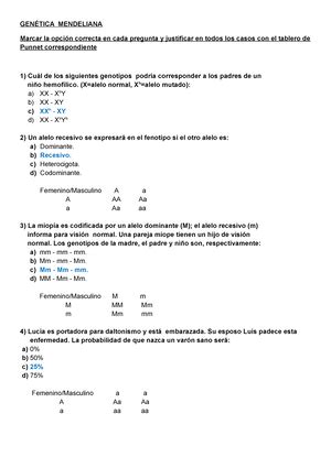 Exame Pregrado Barceló Era 1 EXAMEN PARCIAL 17 02 Pregunta 1