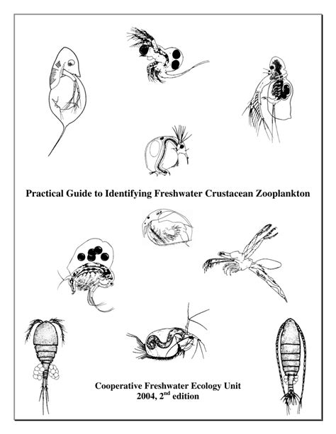 Invertebrate Identification Chart: A Visual Reference of Charts | Chart ...