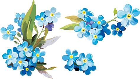 Open Full Size Watercolor Painting Paper Clip Art Forget Me Not Flowers Watercolor Png Downl