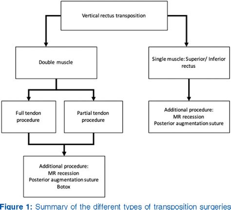 Figure From Vertical Rectus Transposition Procedures For Lateral