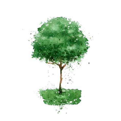 Tree Vector Format Stock Vector Image By Sergeypykhonin