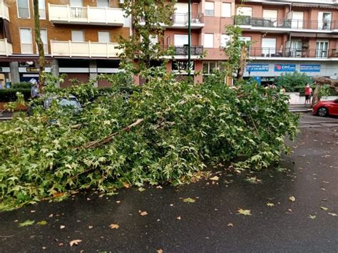 Nubifragio Su Milano E Hinterland Alberi Caduti E Tetti Scoperchiati