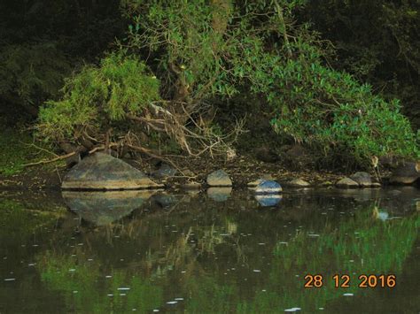 Río tizatirla Tuxpan jalisco Paisajes Jalisco Río