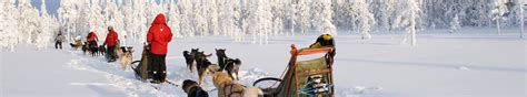 Op Groeps Rond Reis Naar Lapland Of Ijsland Voigt Travel