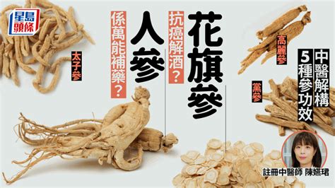 人參是萬能補藥？花旗參抗癌？黨參太子參高麗參有何分別？中醫解構5種參功效