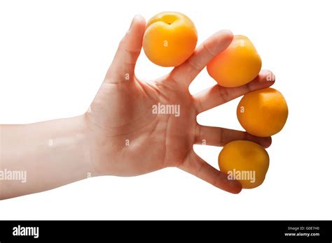 Woman Hand Holding Four Apricots Isolated On White Stock Photo Alamy