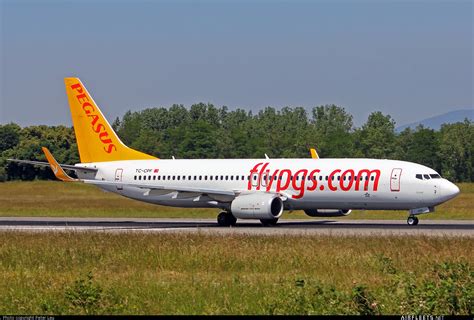 Pegasus Airlines Boeing Ng Max Tc Cpf Photo Airfleets