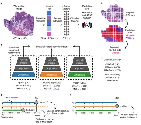 Nature Medicine 基于群体学习的分散式人工智能可通过组织病理学图像识别癌症 SEQ CN