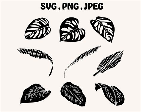 Tropical Leaves Bundle Tropical Leaf Svg Monstera Leaf Svg Jungle