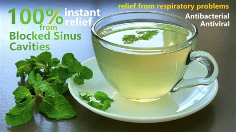 Mint Tea 100 Instant Relief From Blocked Sinus Cavities Relief