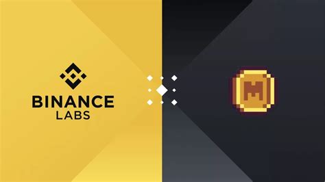 L échange crypto Binance annonce avoir investi dans le jeton Memecoin