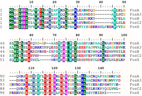 Amino Acid Sequence Alignment Generated By Clustalx Under Bioedict Of